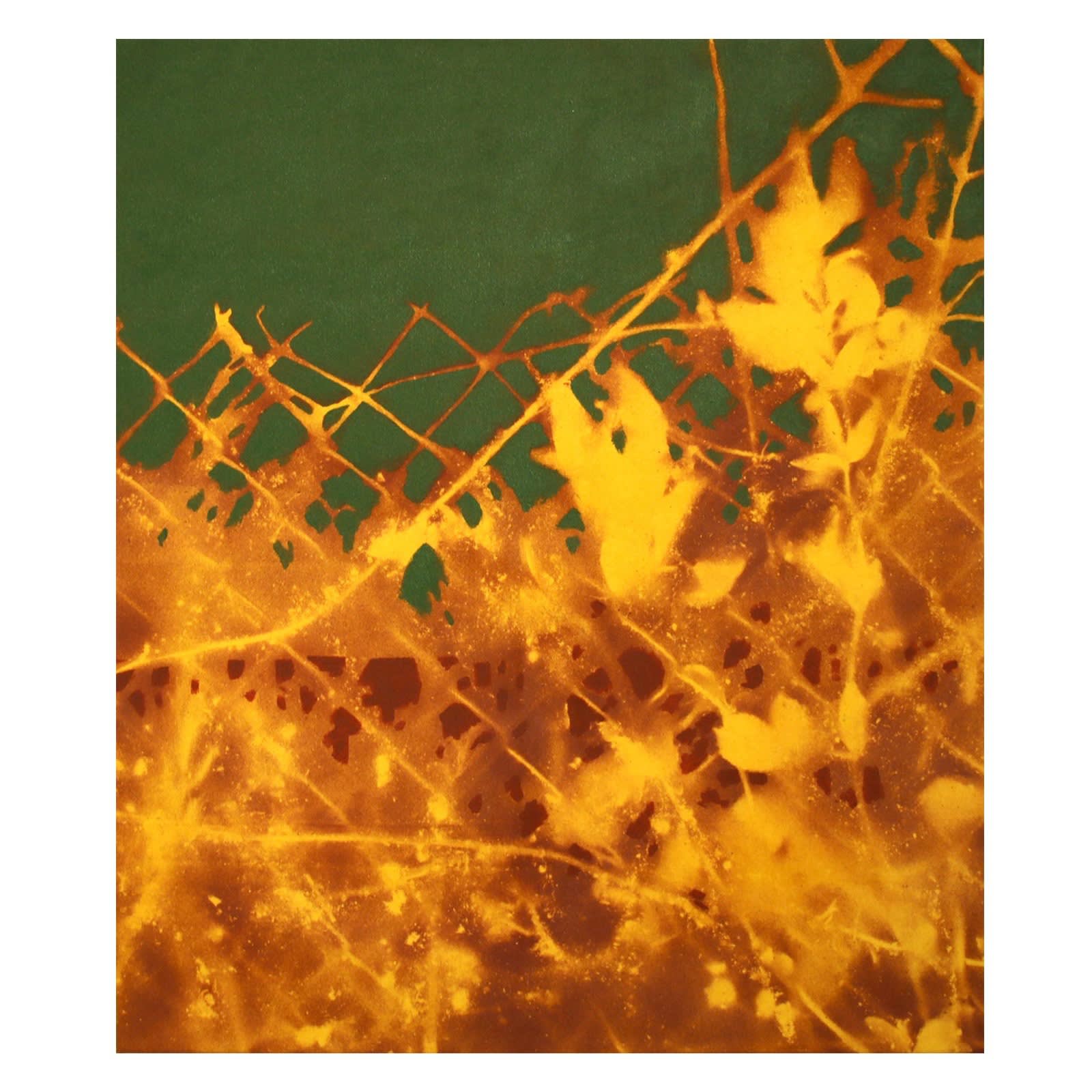 Le bruit des plantes by Diego Herman, 2025
