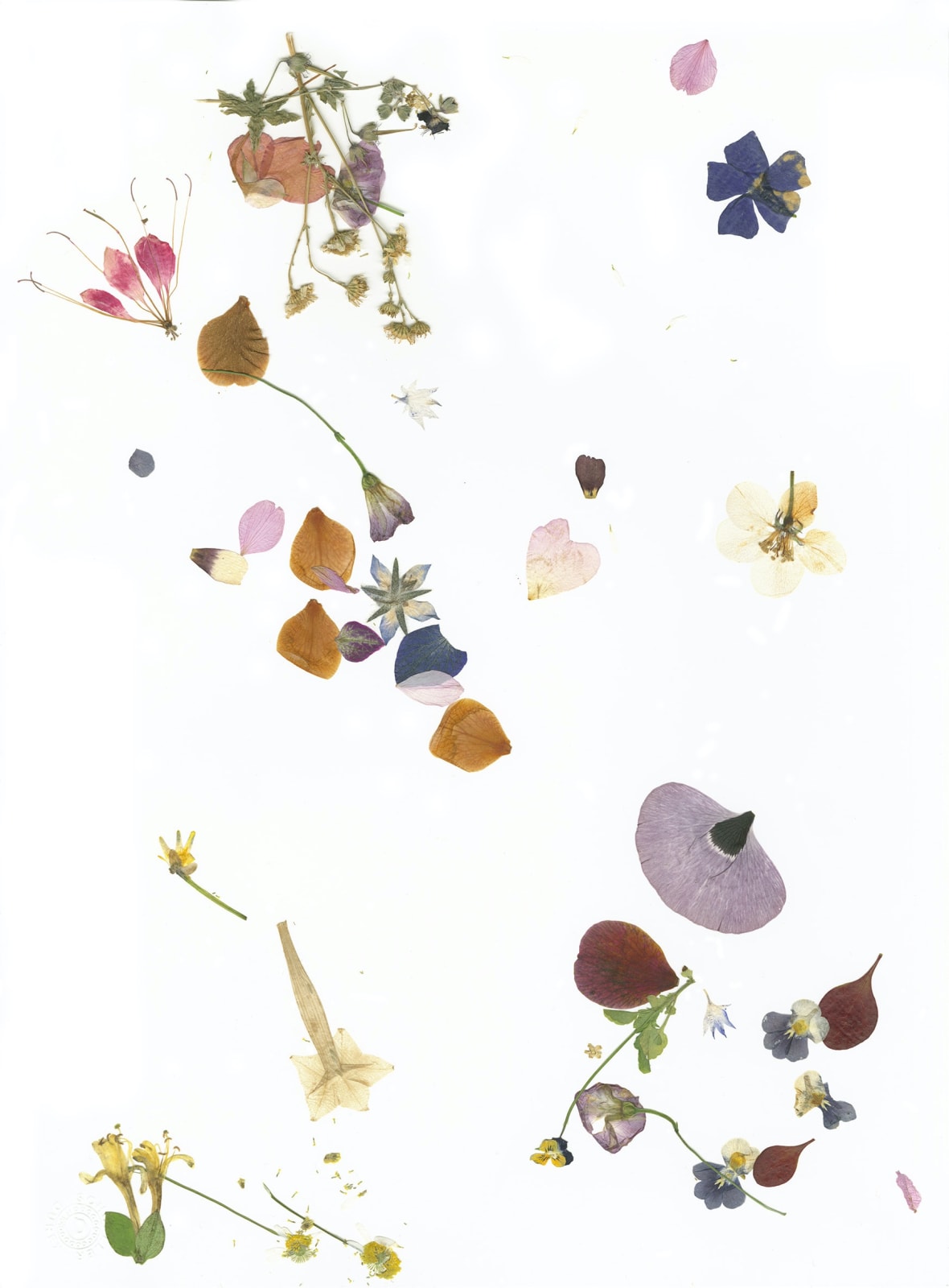 Pascale Lorge, Effleurement III, 2020