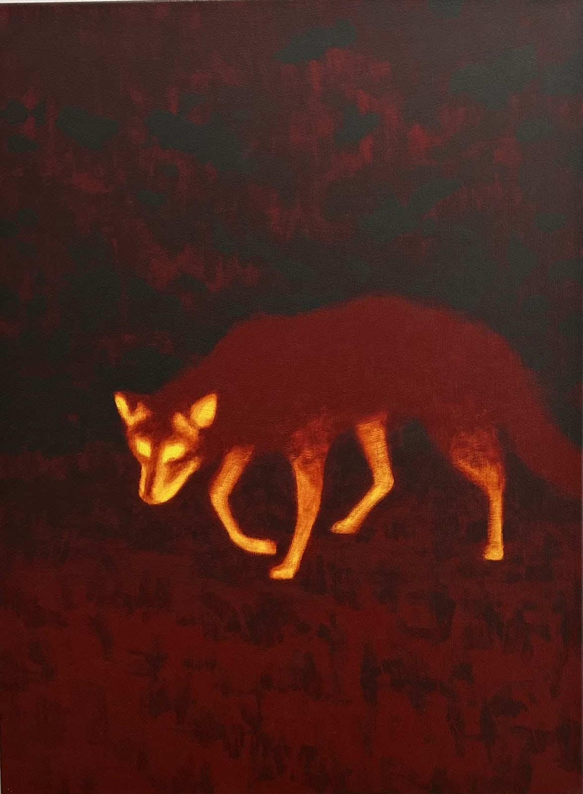 Not welcome anywhere by Diego Herman, 2024