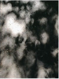 Pascale Lorge, Light and shadow, 2018
