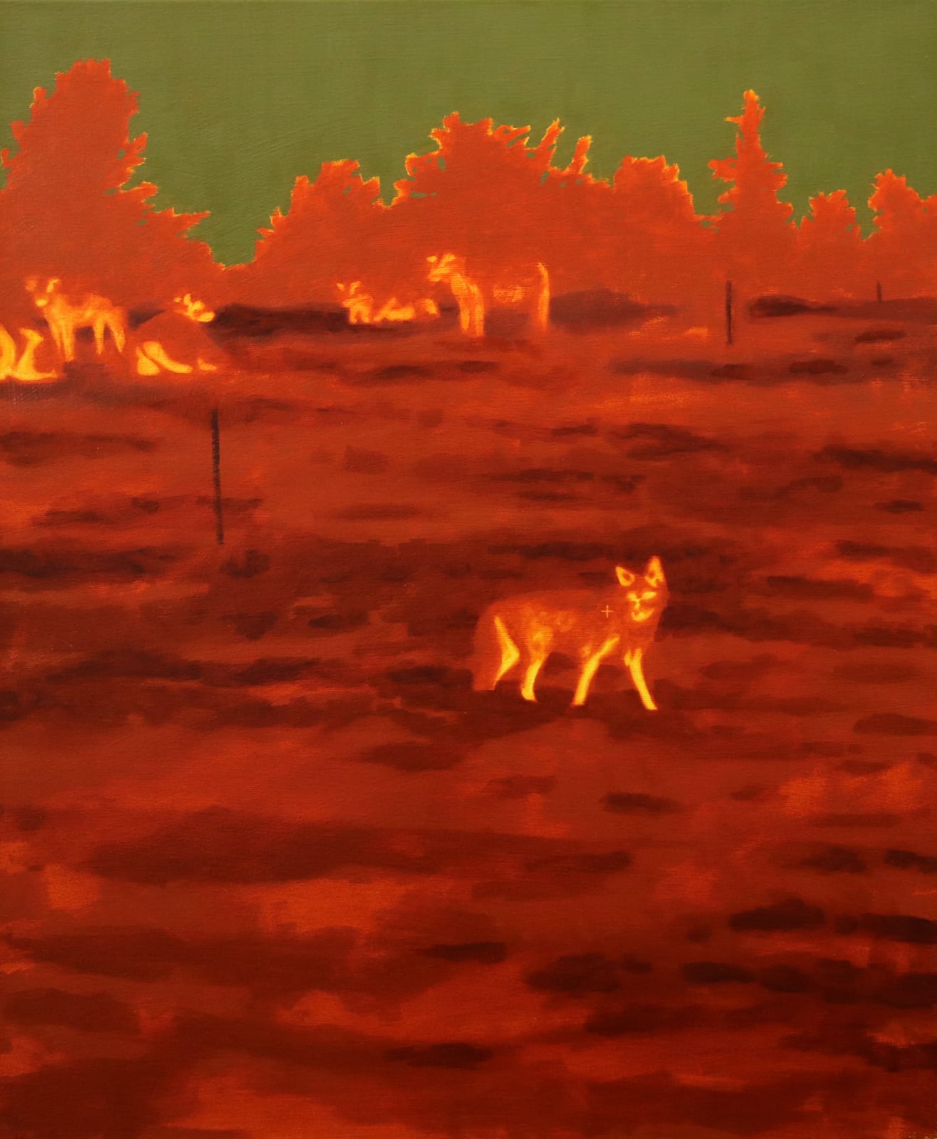 Huge Coyote Problem by Diego Herman, 2024