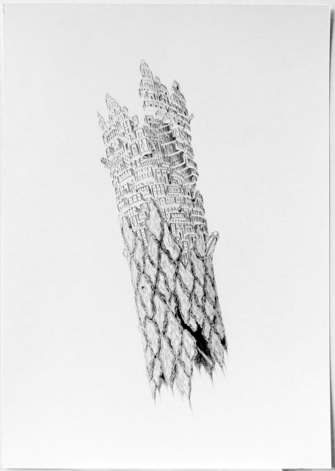 De nos cendres naîtrons nos ruines by Marc Brousse, 2024