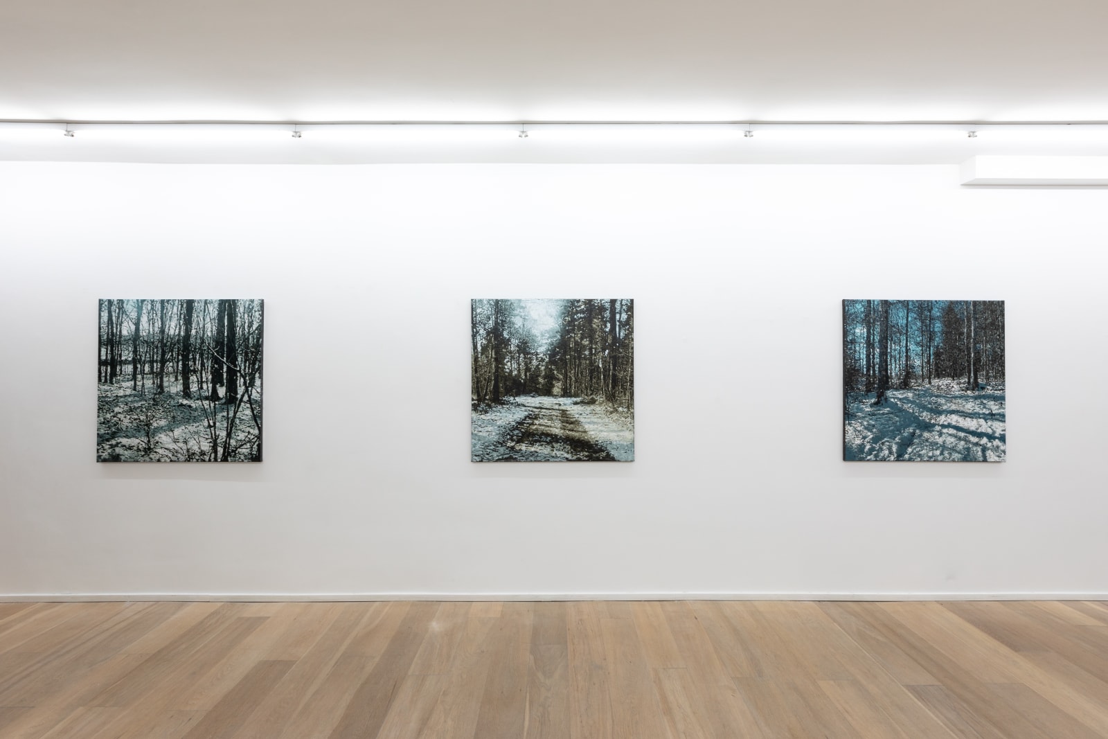 Dirk Eelen, We've been in these Woods 17, 2025