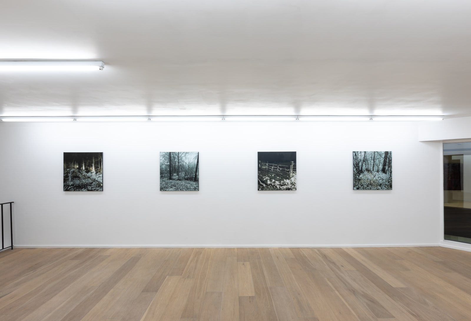 Dirk Eelen, We've been in these Woods 25, 2025