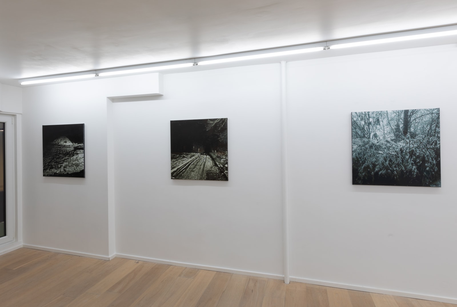 Dirk Eelen, We've been in these Woods 27, 2025