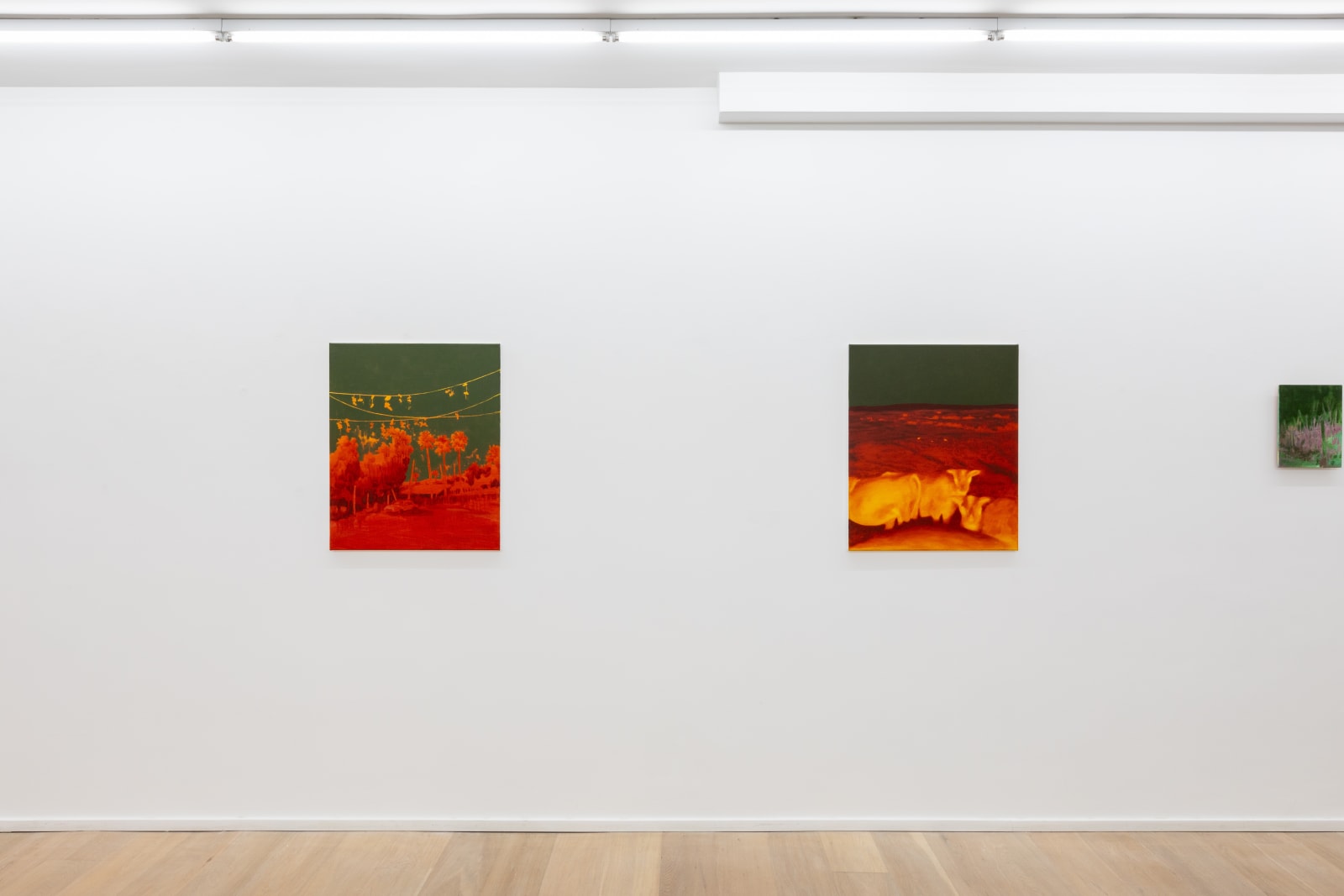Diego Herman, Huge Coyote Problem #2, 2024