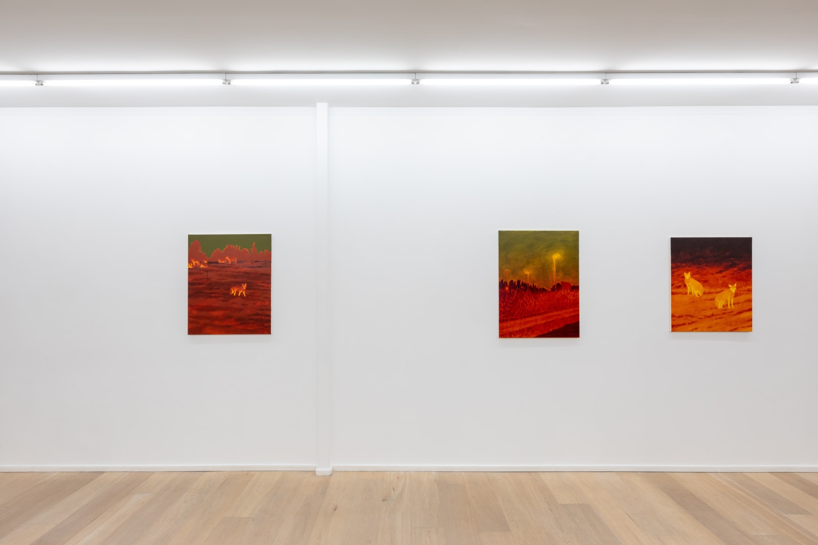 Diego Herman, Getting home, 2023