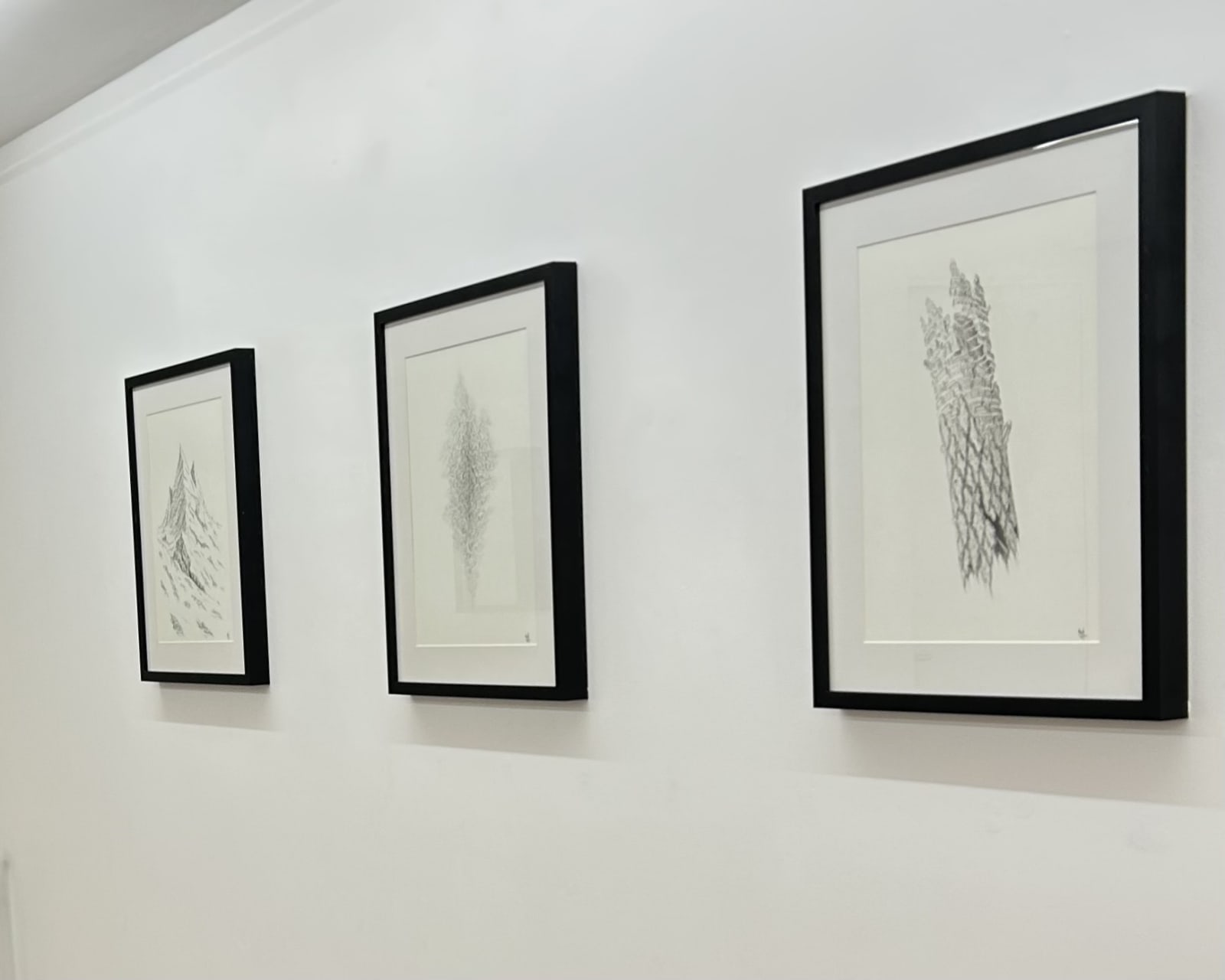 Marc Brousse, Ruina tectonicus, 2024