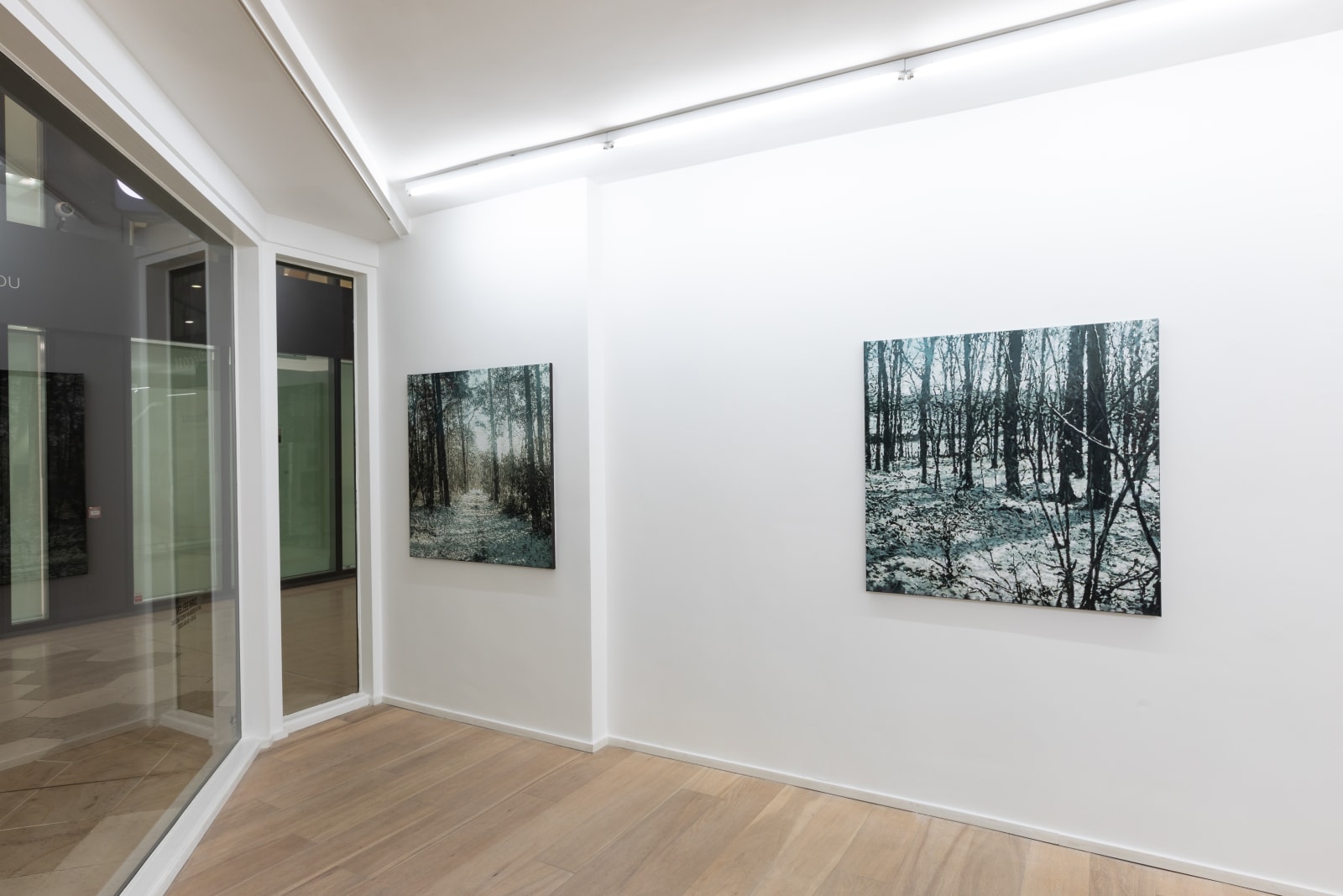 Dirk Eelen, We've been in these Woods 18, 2025