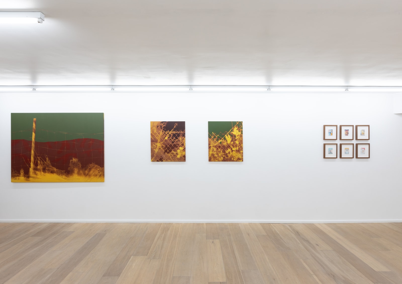 Diego Herman, Le bruit des plantes, 2025