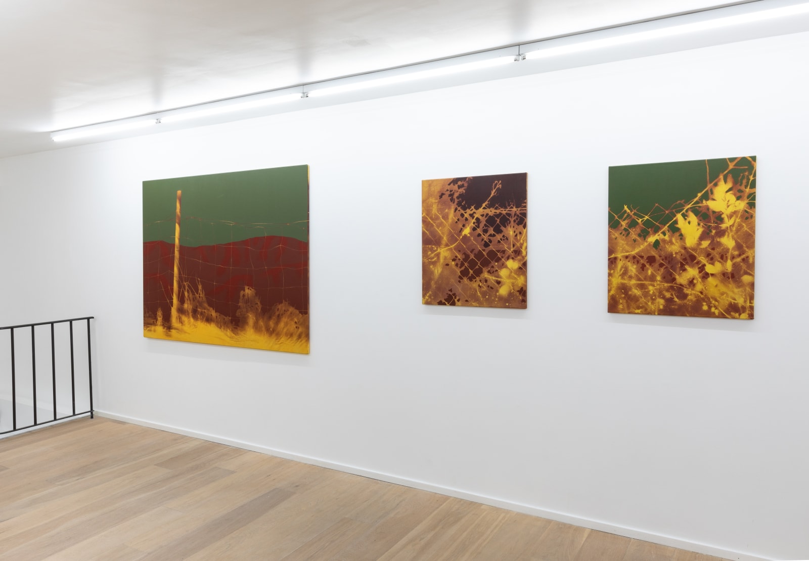 Diego Herman, Le bruit des plantes, 2025
