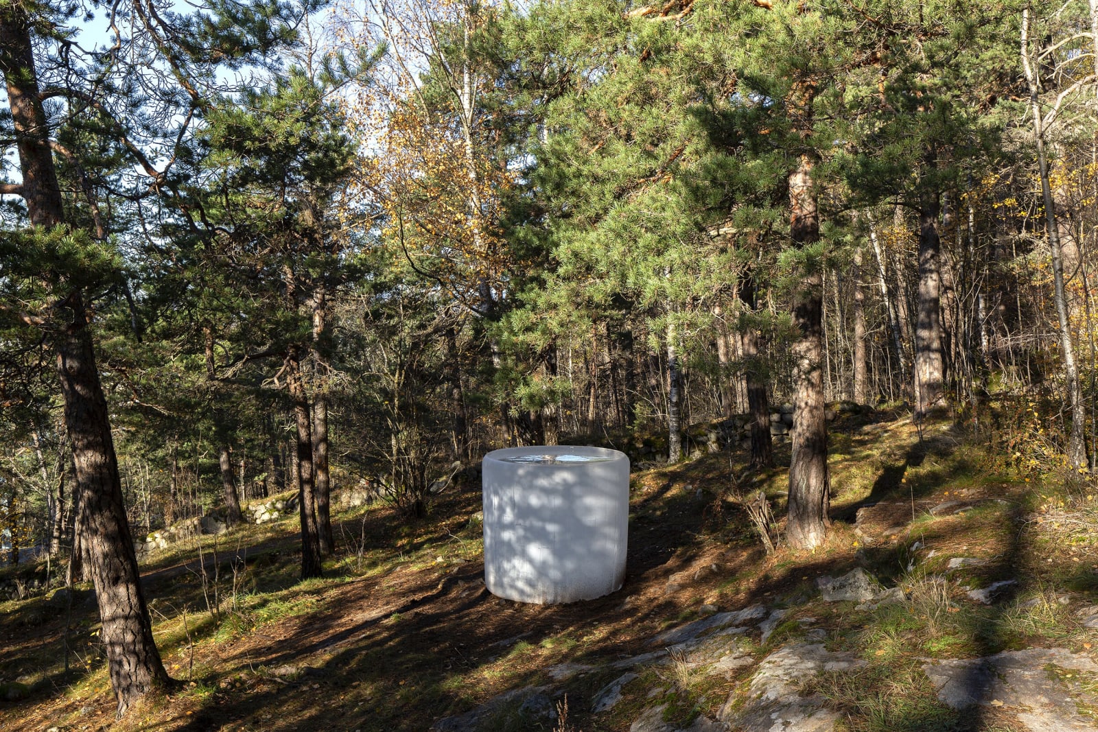 Roni Horn - Air Burial (Oslo) , Ekebergparken, Oslo, 2020, Photo: Uli Holz All Images © 2020 Roni Horn -...