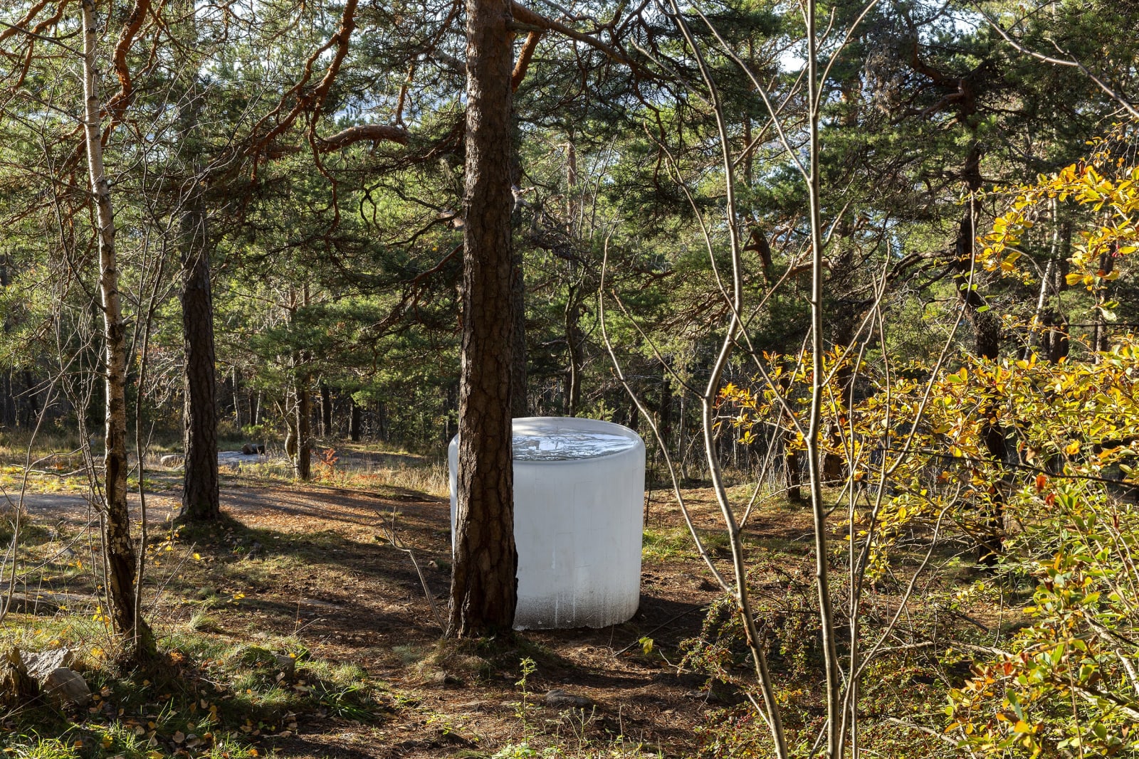 Roni Horn - Air Burial (Oslo) , Ekebergparken, Oslo, 2020, Photo: Uli Holz All Images © 2020 Roni Horn -...
