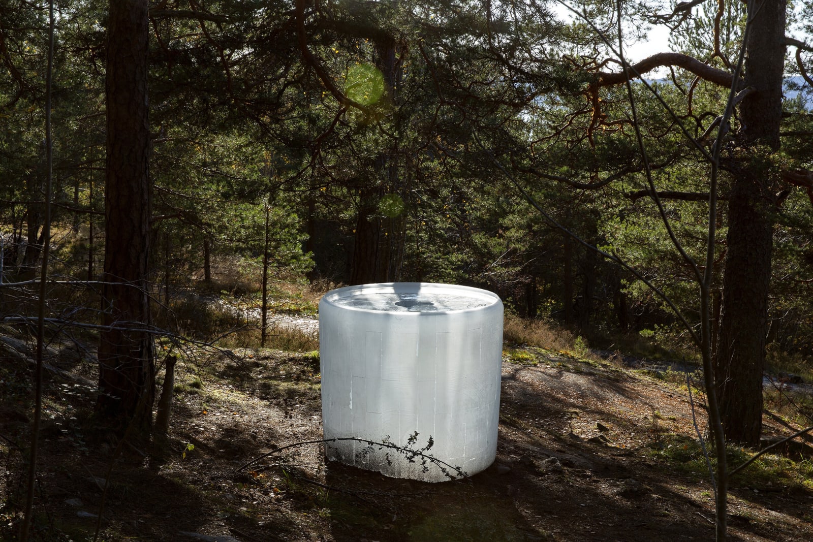 Roni Horn - Air Burial (Oslo) , Ekebergparken, Oslo, 2020, Photo: Uli Holz All Images © 2020 Roni Horn -...