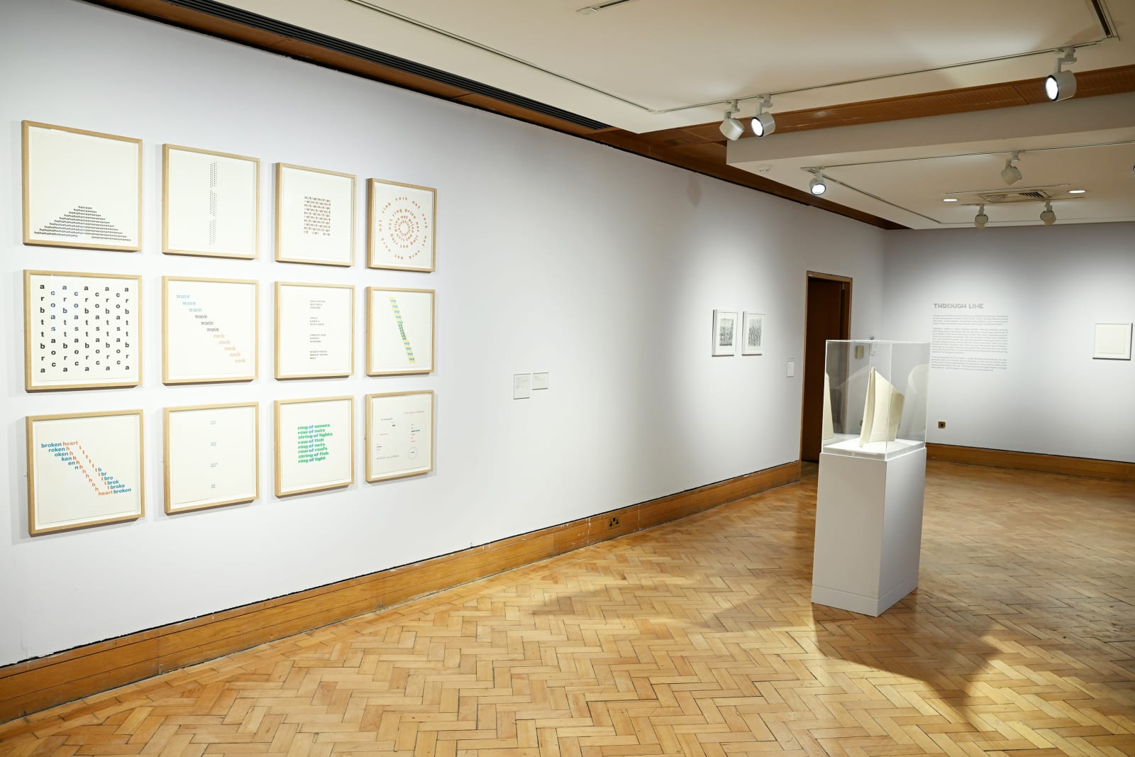 Installation view, 'Through Line', 2024, City Art Centre. Image Courtesy City Art Centre. Photograph Greg Macvean.