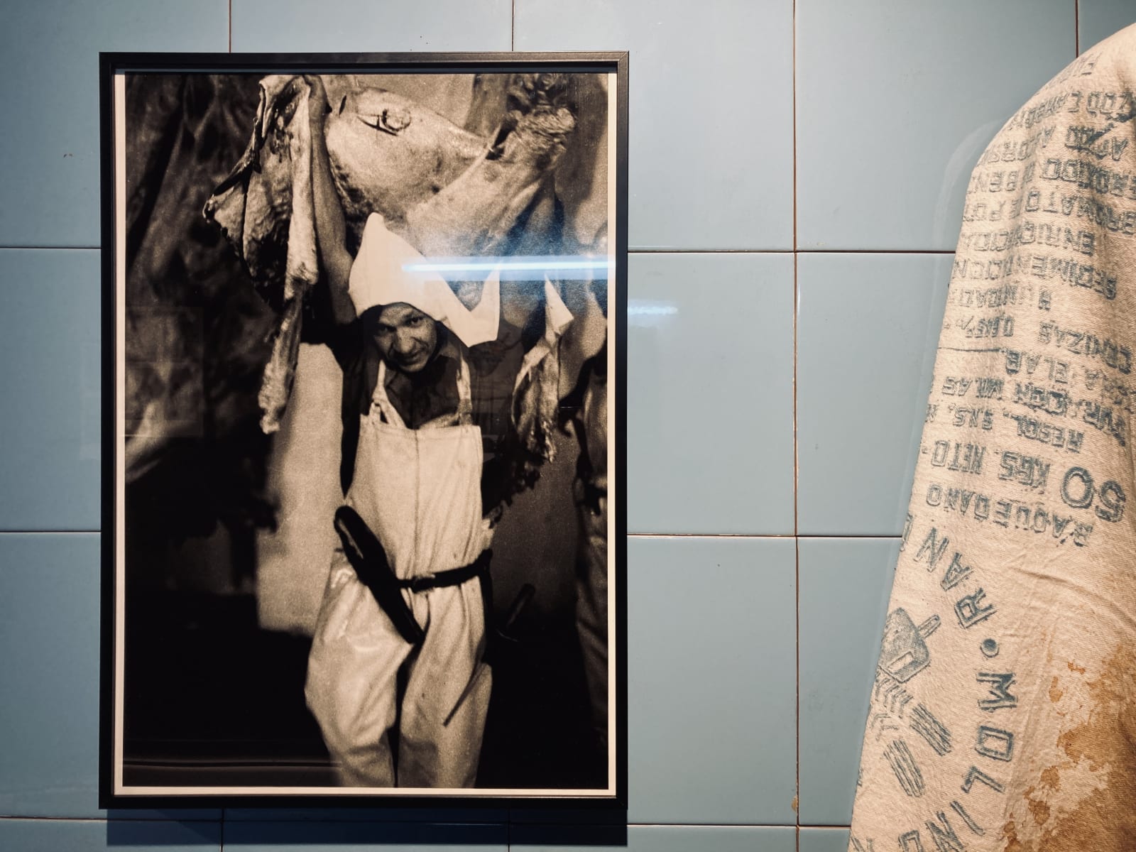 Artworks by Carlos Gallardo at Artistas del Desplazamiento, group exhibition curated by Jorge Padilla. Galería Artespacio. Santiago, Chile. June 2022....