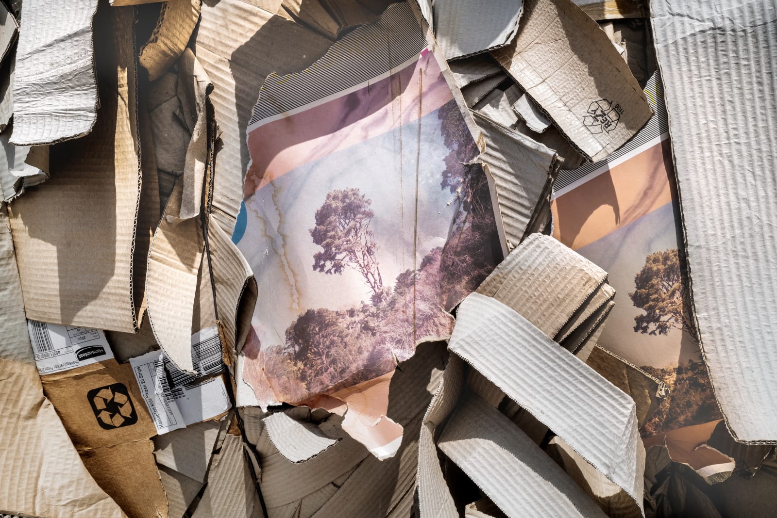 Hubertus von Hohenlohe, Loneley, 2019