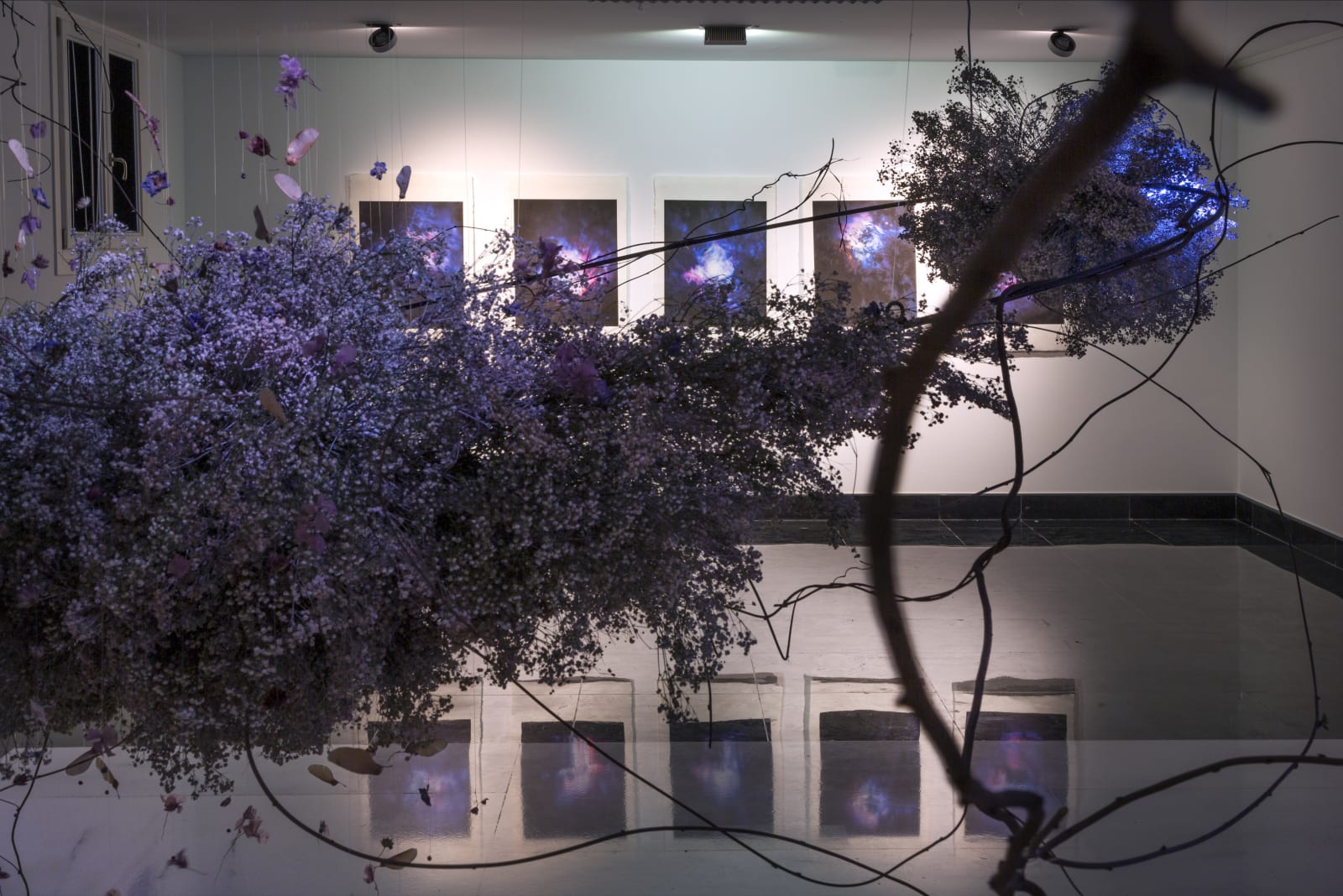 Lola Guerrera, Fronteras de luz, 2022