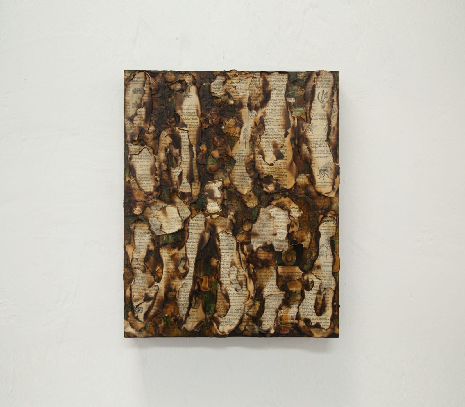 Alejandro Co, Pinturas de archivo abierto (AC 25004) , 2025