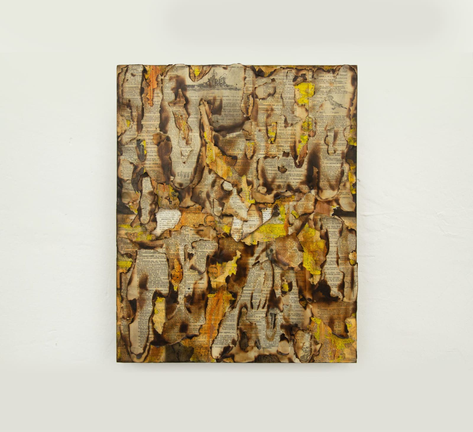 Alejandro Co, Pinturas de archivo abierto (AC 25005), 2025