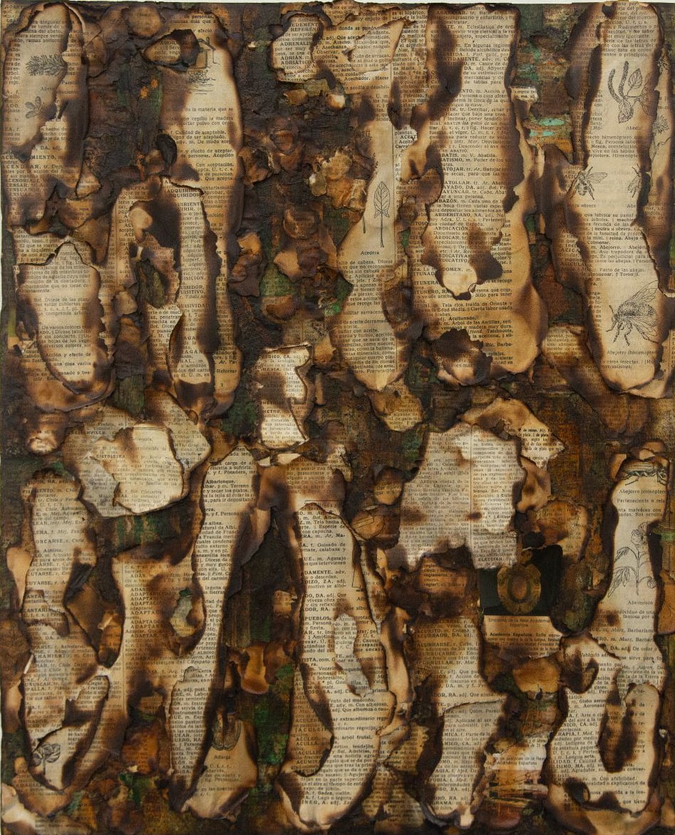 Alejandro Co, Pinturas de archivo abierto (AC 25004) , 2025