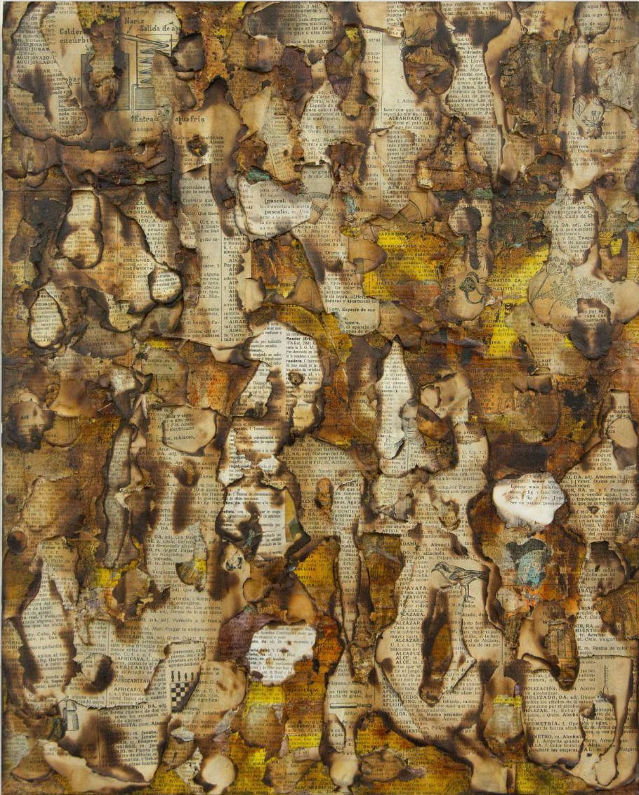 Alejandro Co, Pinturas de archivo abierto (AC 25008), 2025