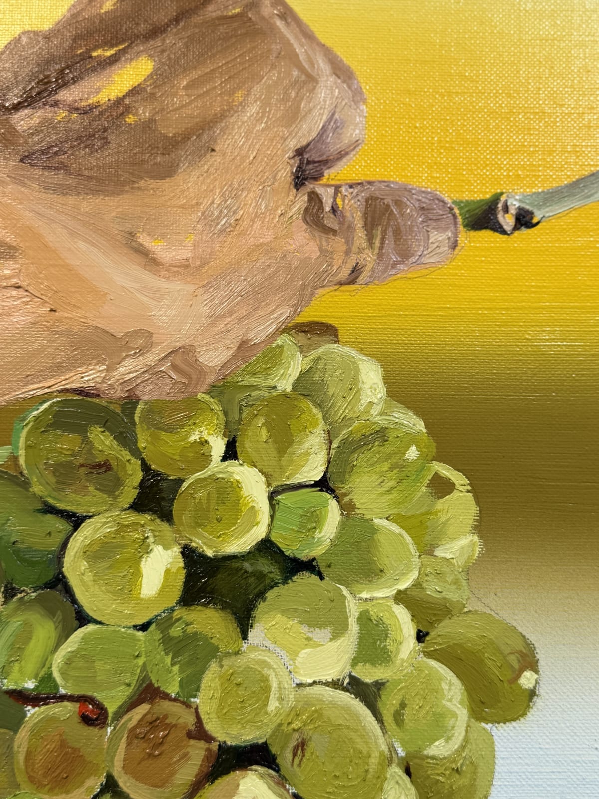 Jaime Velazquez, Mi tierra, 2024