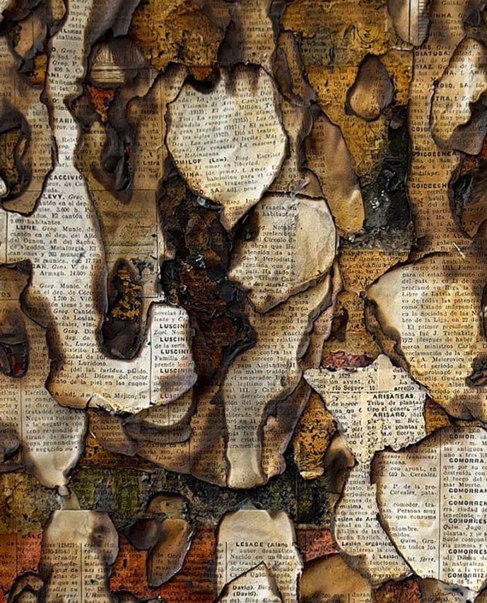 Alejandro Co, Pinturas de archivo abierto II, 2025