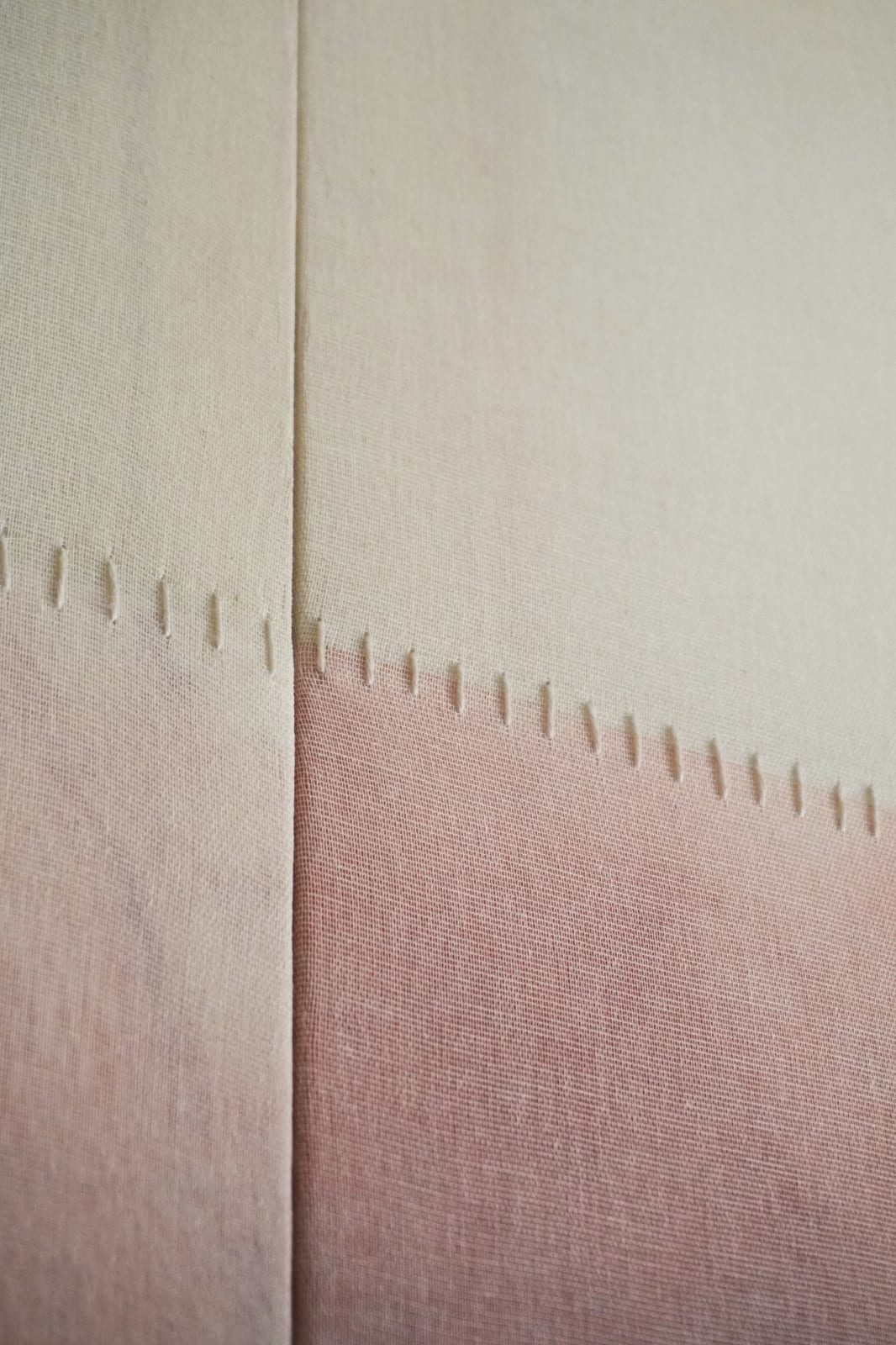 Blannim, Geranio, 2025