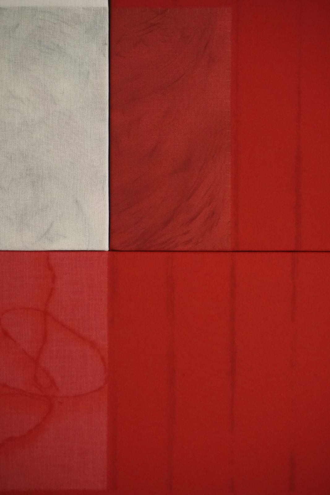 Blannim, Geranio, 2025