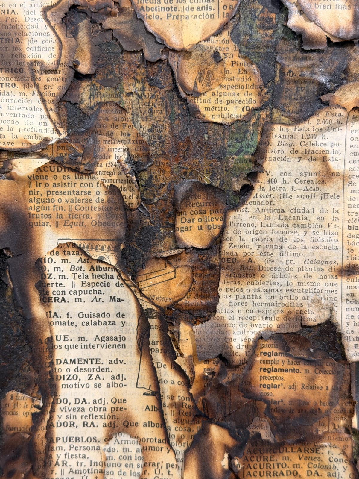 Alejandro Co, Pinturas de archivo abierto (AC 25004) , 2025