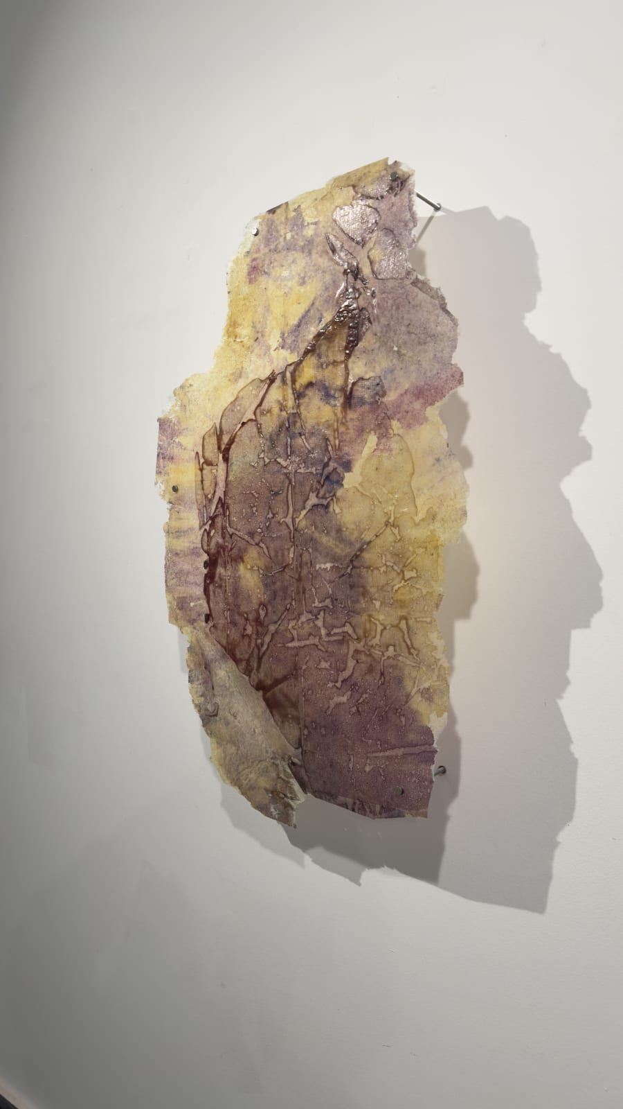 Paula Blanco, La respiración de las semillas, 2025