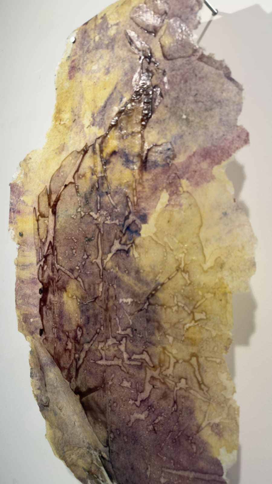 Paula Blanco, La respiración de las semillas, 2025