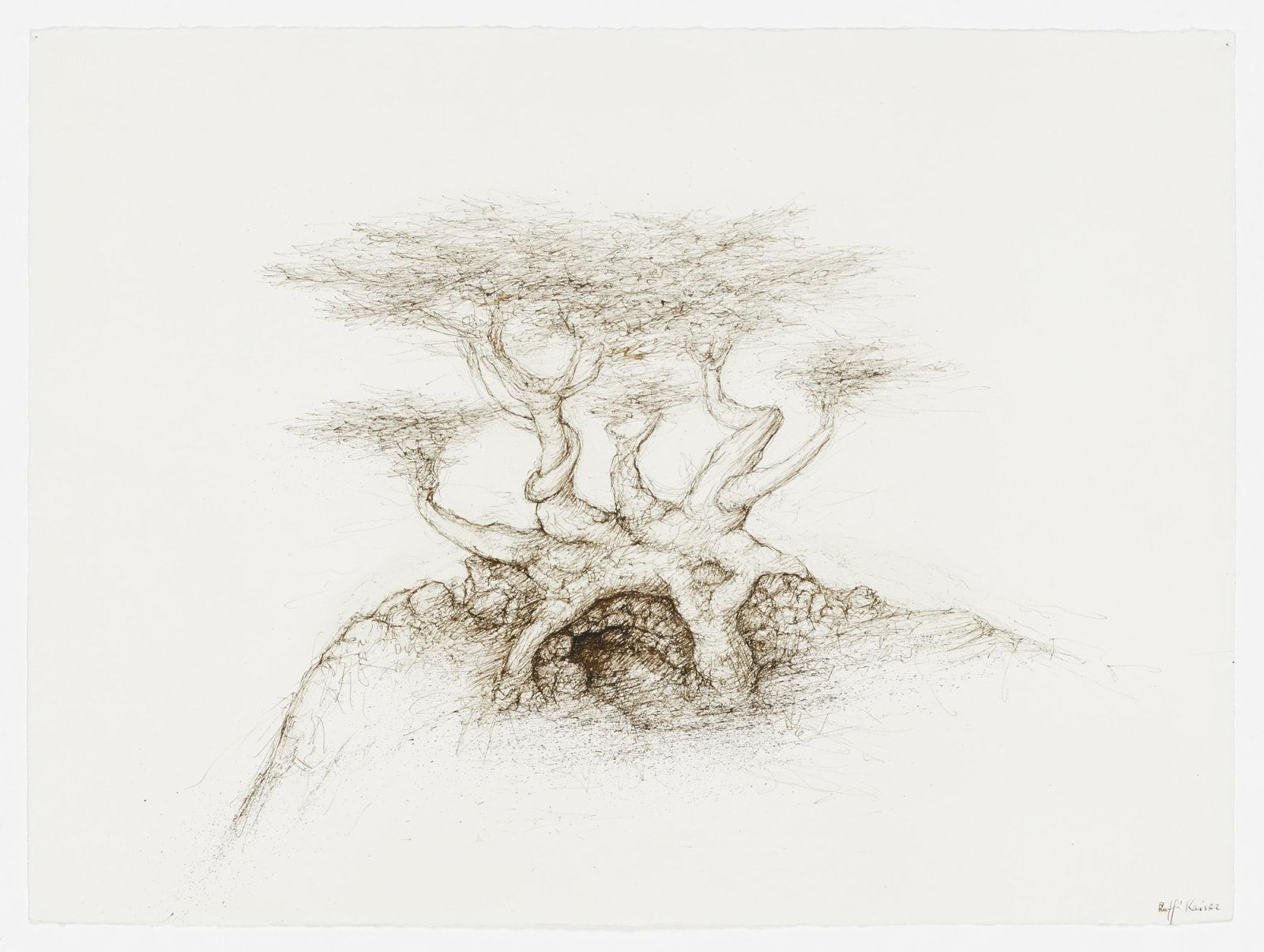 Raffi Kaiser, #021668  Baum, um 2017