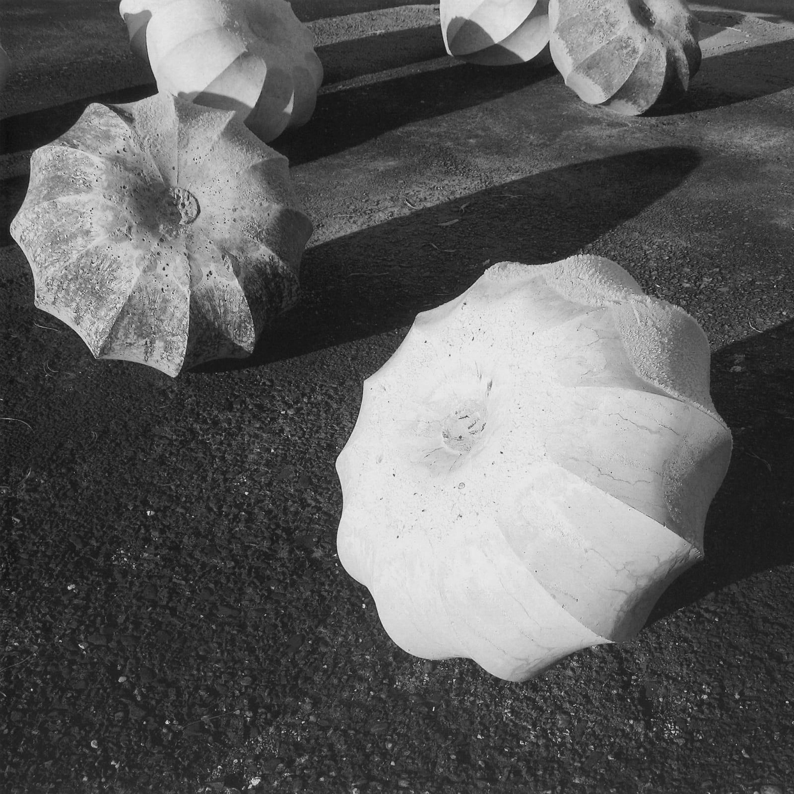 Katsuhito Nishikawa, #022733  Physalis, 10-teilig, 1998-2002