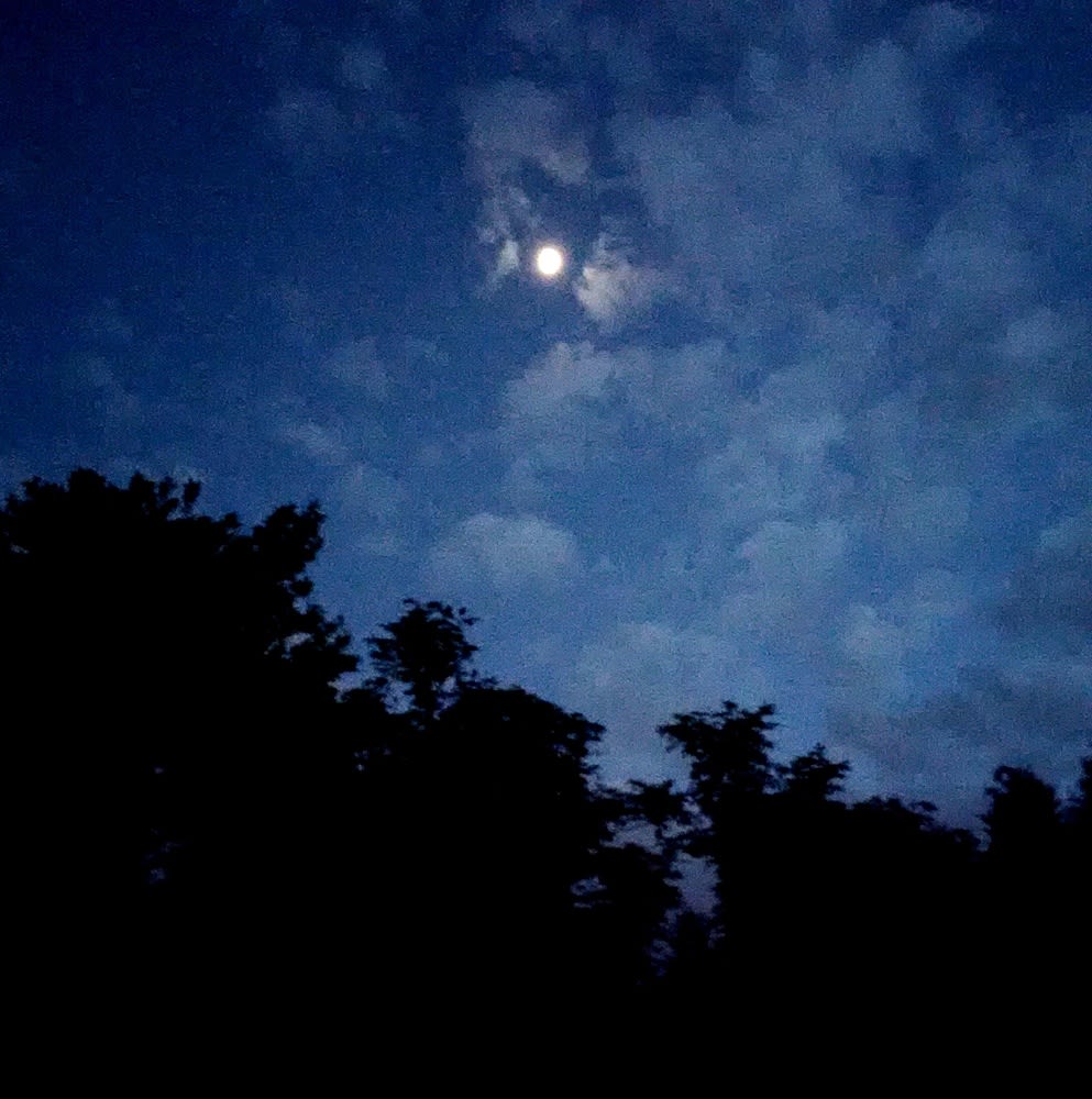 Peter-Cornell Richter, #022164  o.T. (SkyBlue, Mondnacht), 1/3, 2019