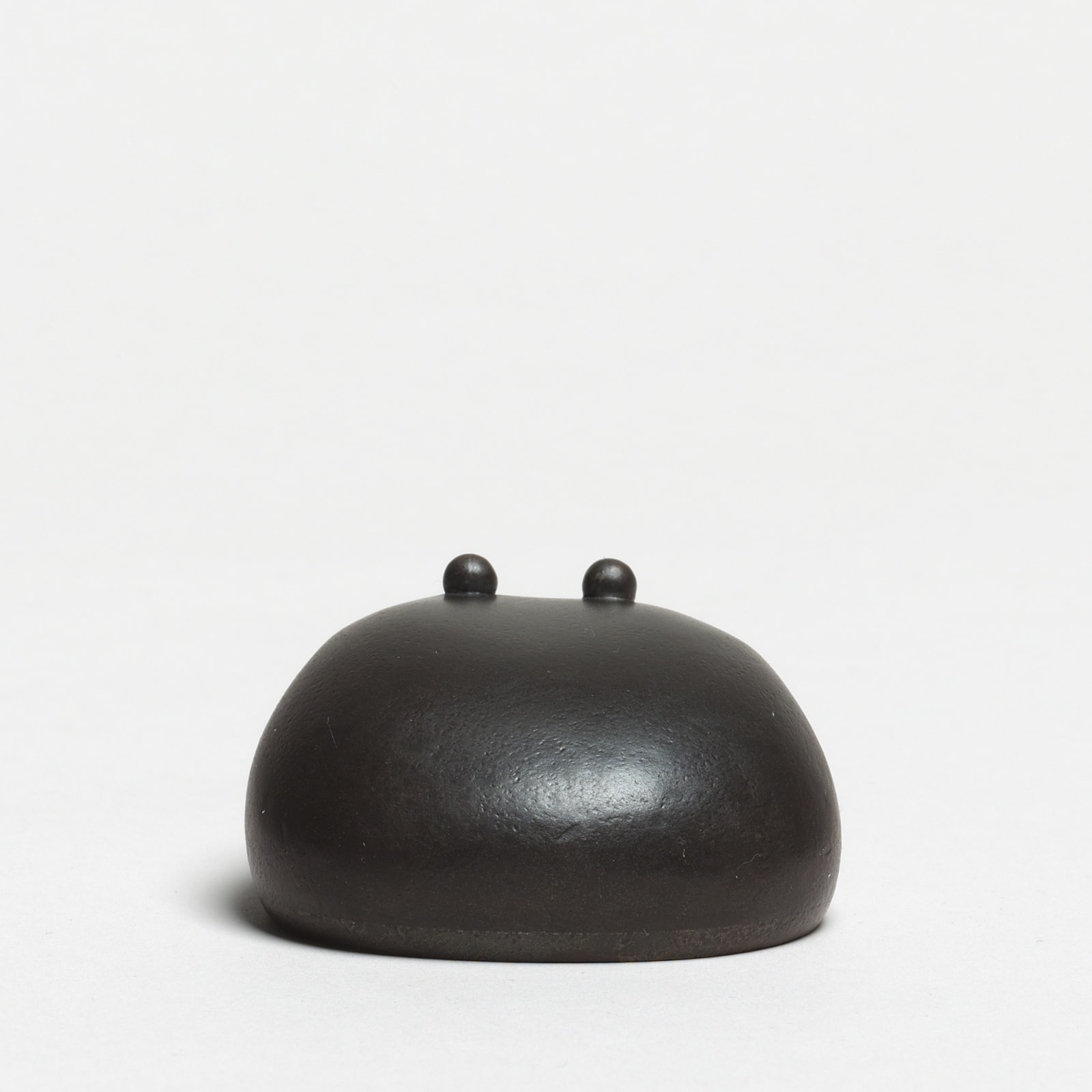 Andreas Caderas, #021496  Frosch, 2016