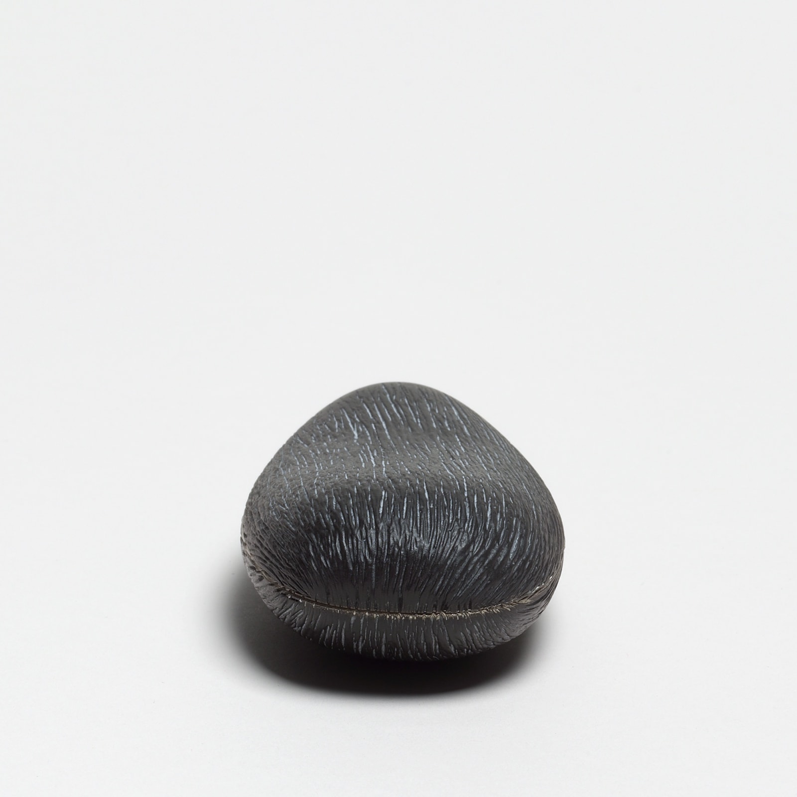 Andreas Caderas, #011192  Dose in der Form eines Steins, 2001