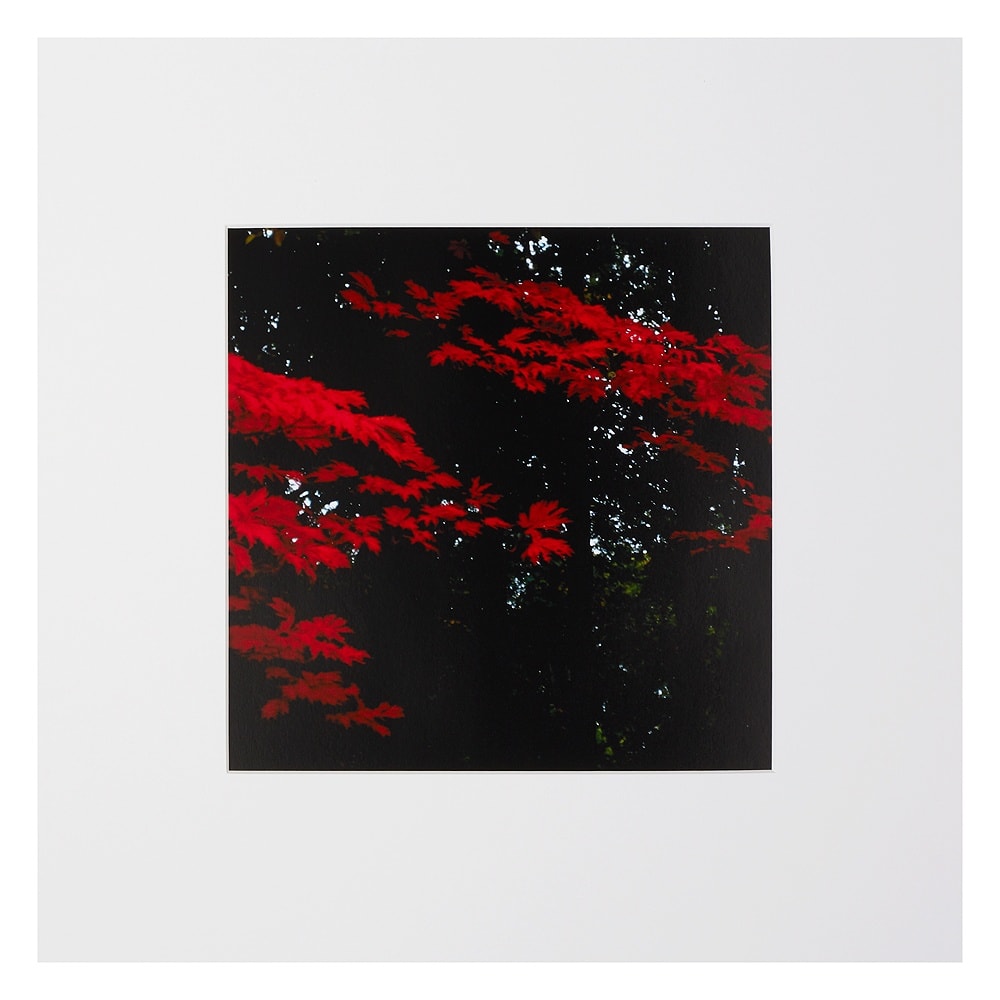 Peter-Cornell Richter, #022167  Rot, 1/3, 2012/2020