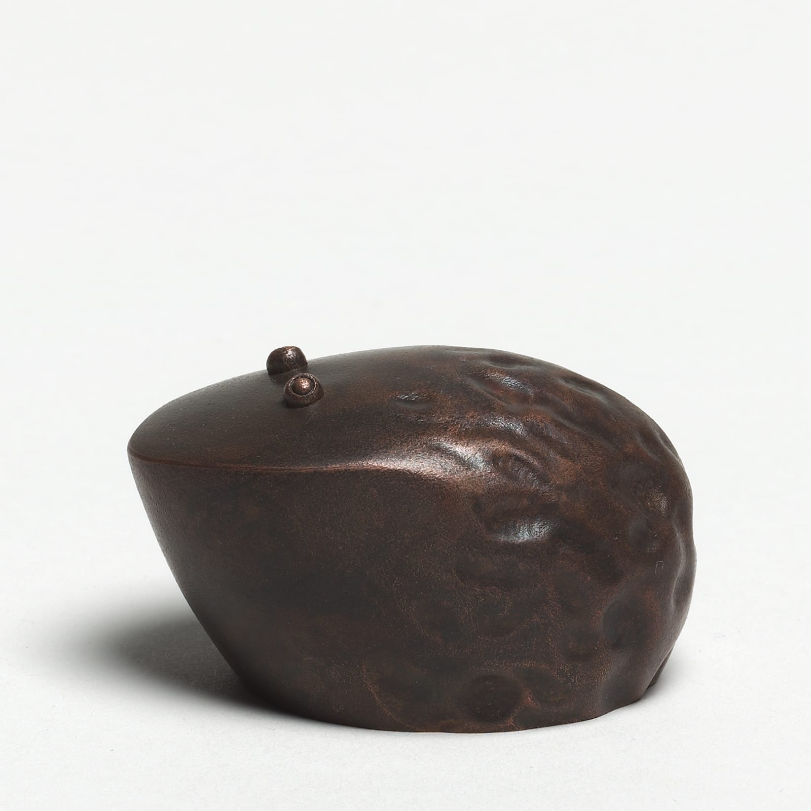 Andreas Caderas, #021488  Frosch, 2017