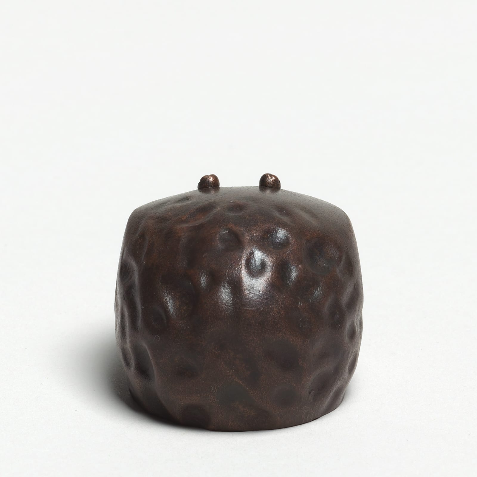 Andreas Caderas, #021488  Frosch, 2017