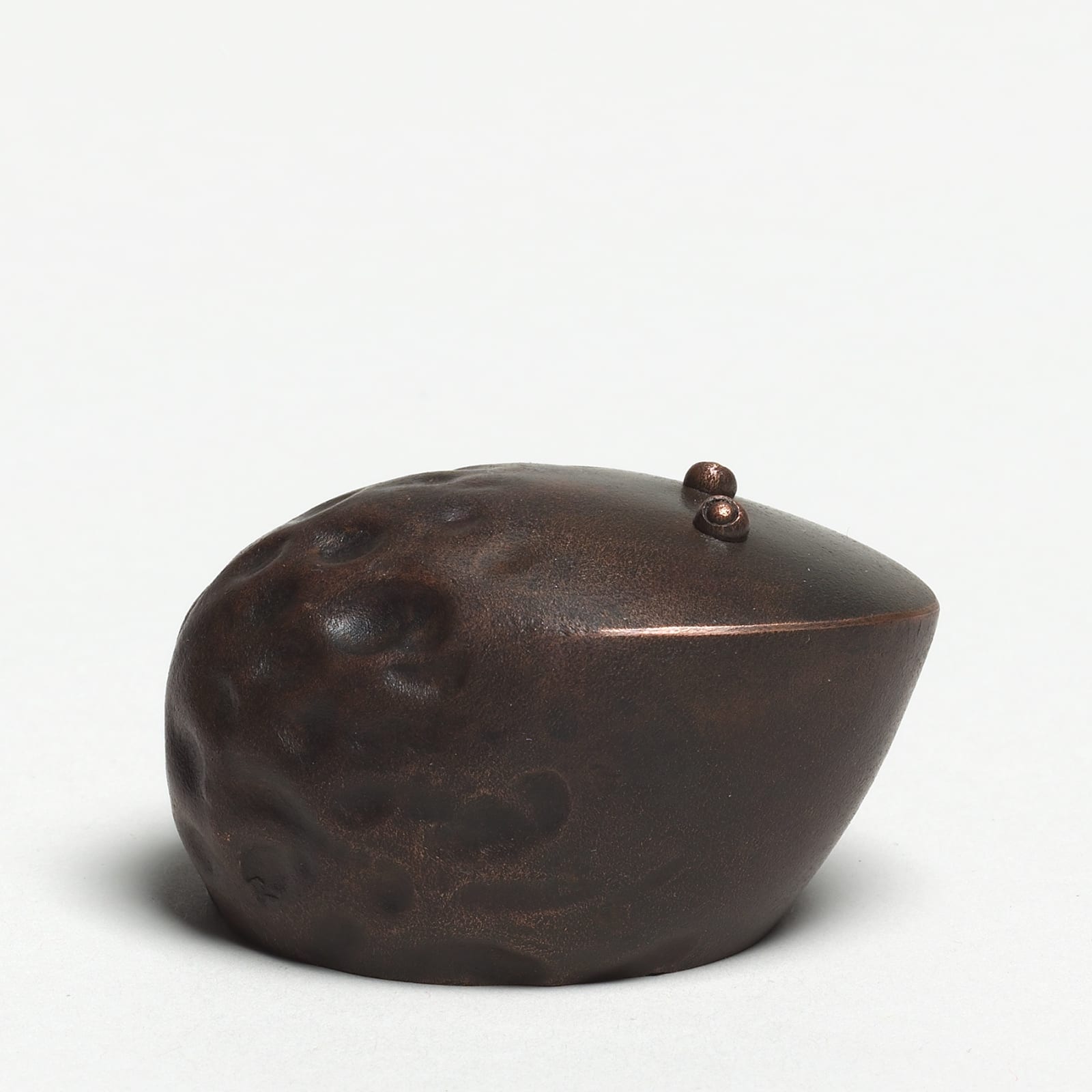 Andreas Caderas, #021488  Frosch, 2017