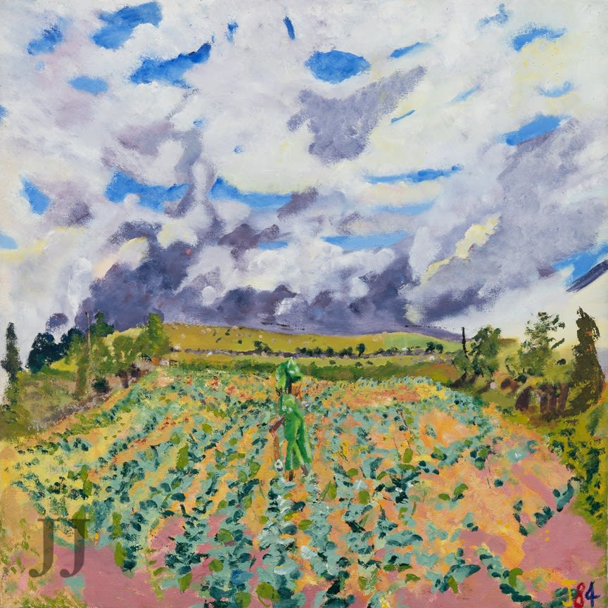Dartmoor: Turnip Field, 1984
