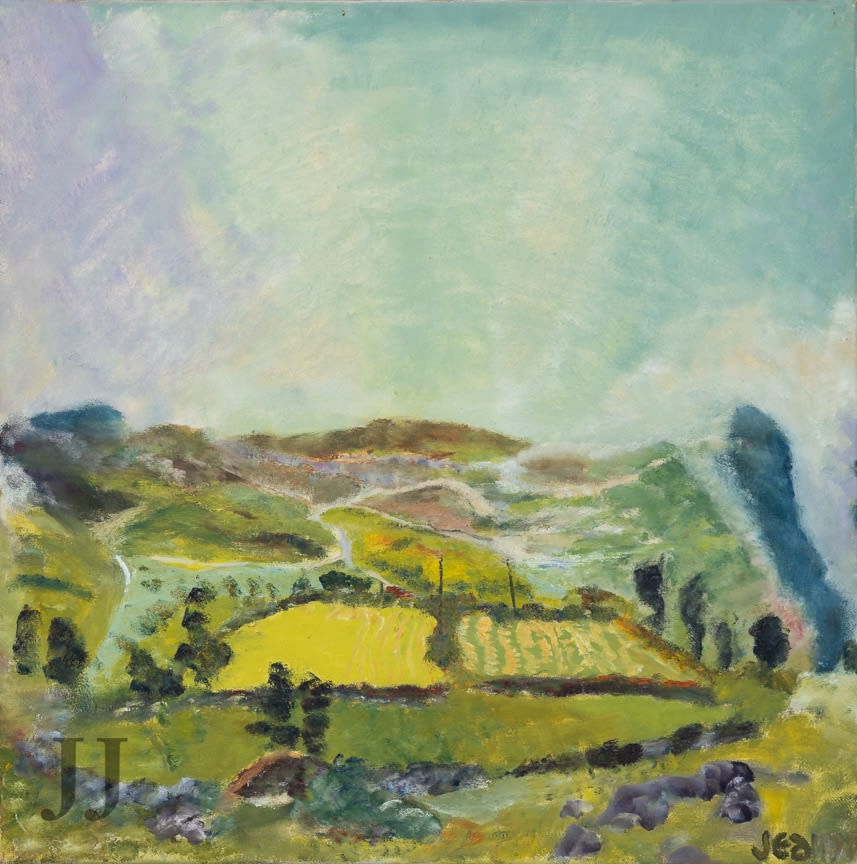 Dartmoor: Cut Hay Fields, 1977