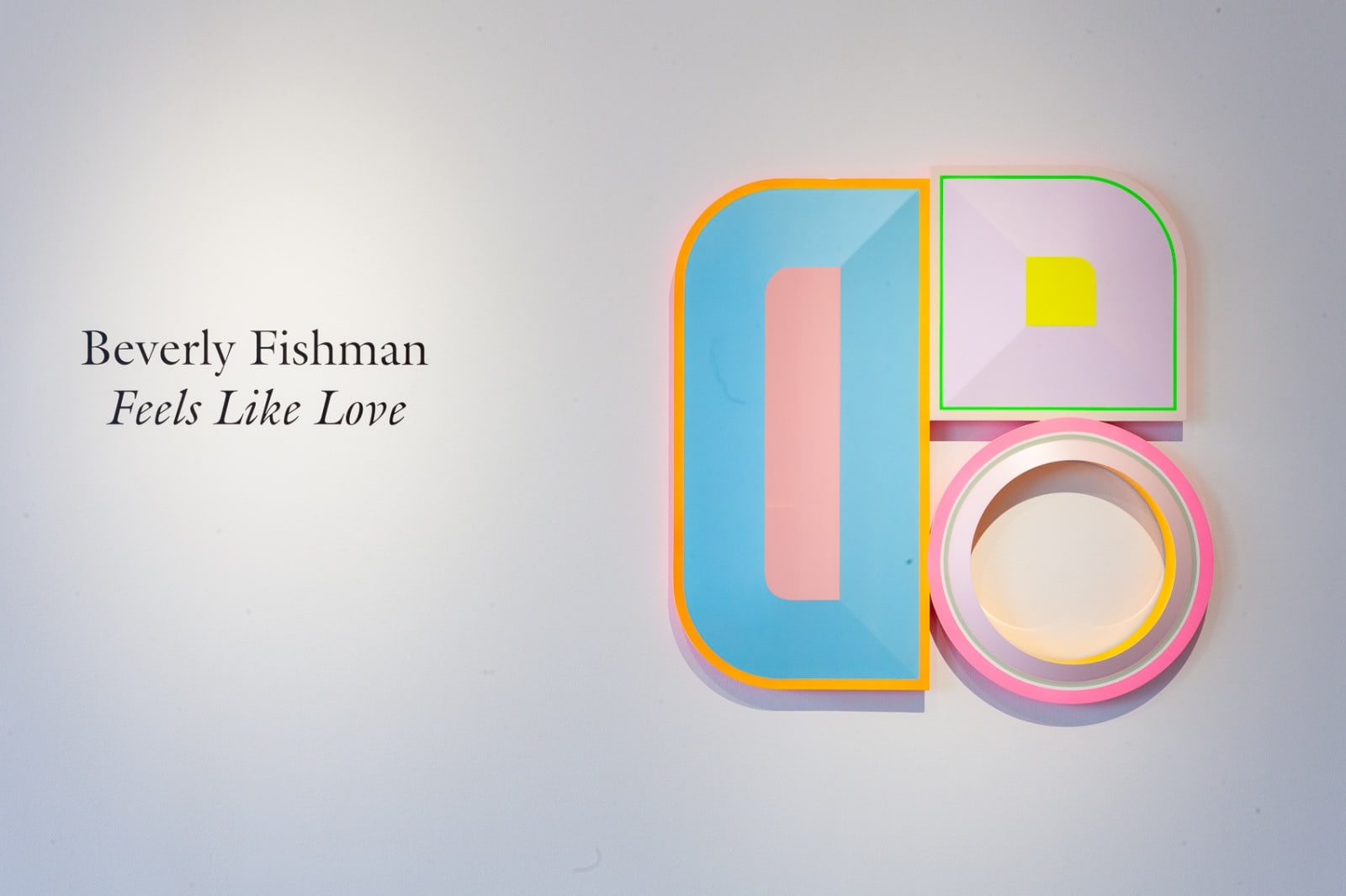 Beverly Fishman: FEELS LIKE LOVE