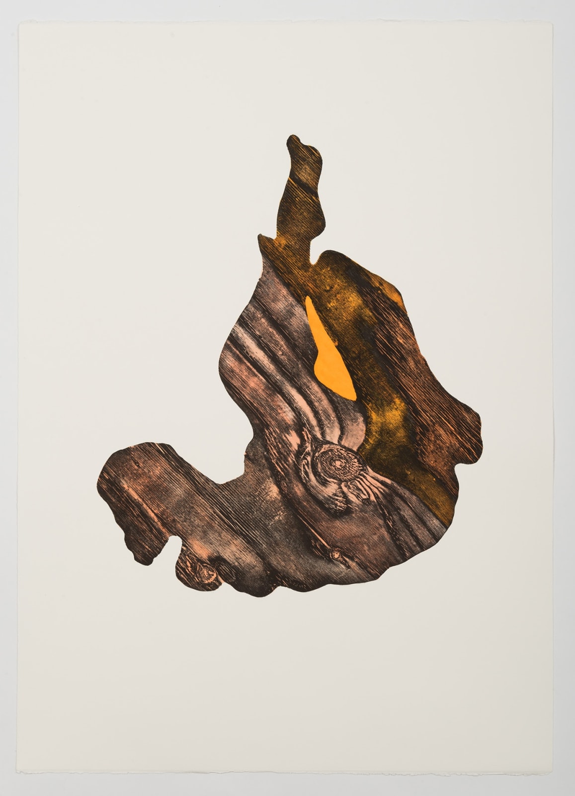 Alice Maher, Vox Hybrida 7, wood relief print, hand tinted, 2018