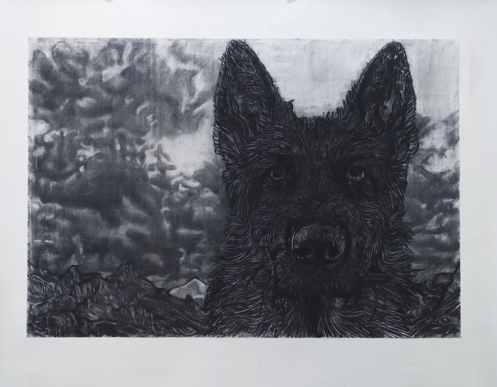 Gary Coyle, Black Dog, 2018-20
