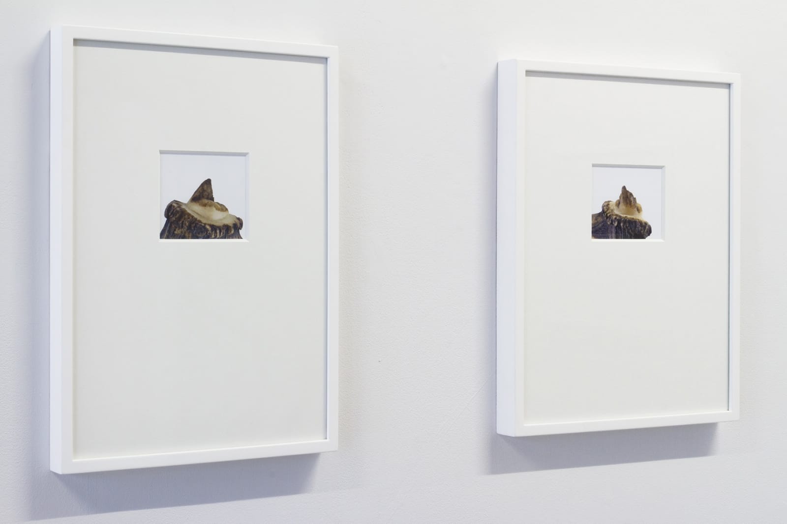 Sean Lynch, A Murmur Repeated, 2020