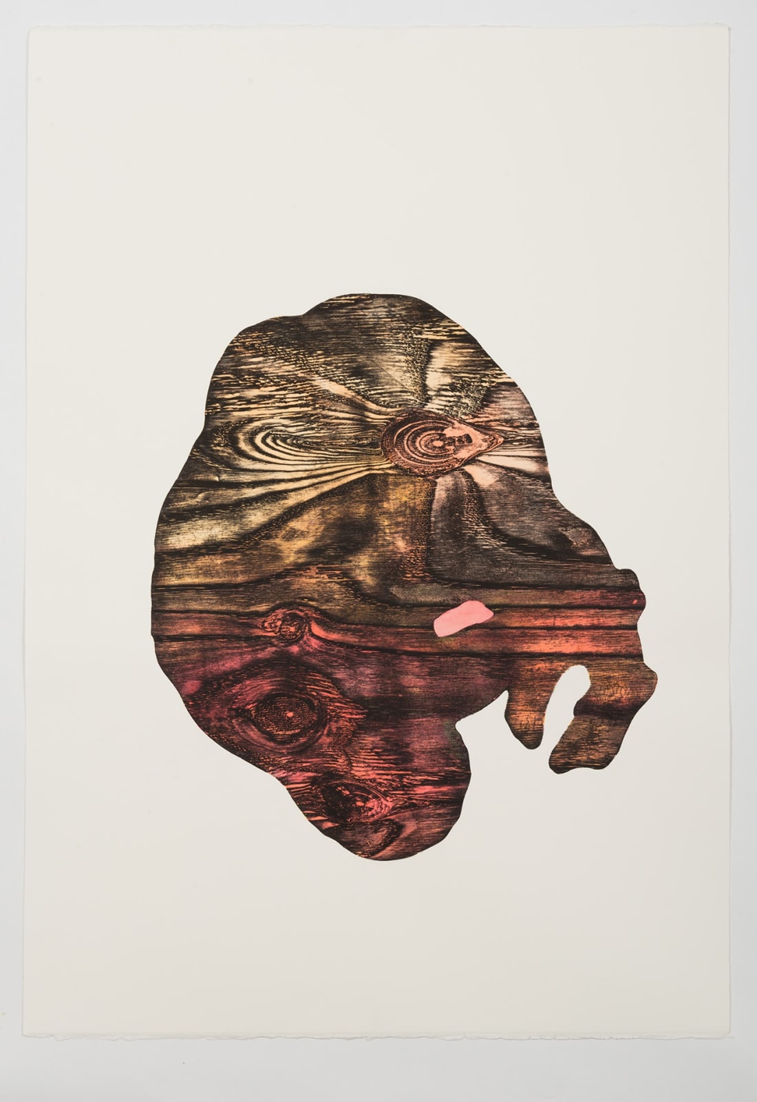Alice Maher, Vox Hybrida, 2018