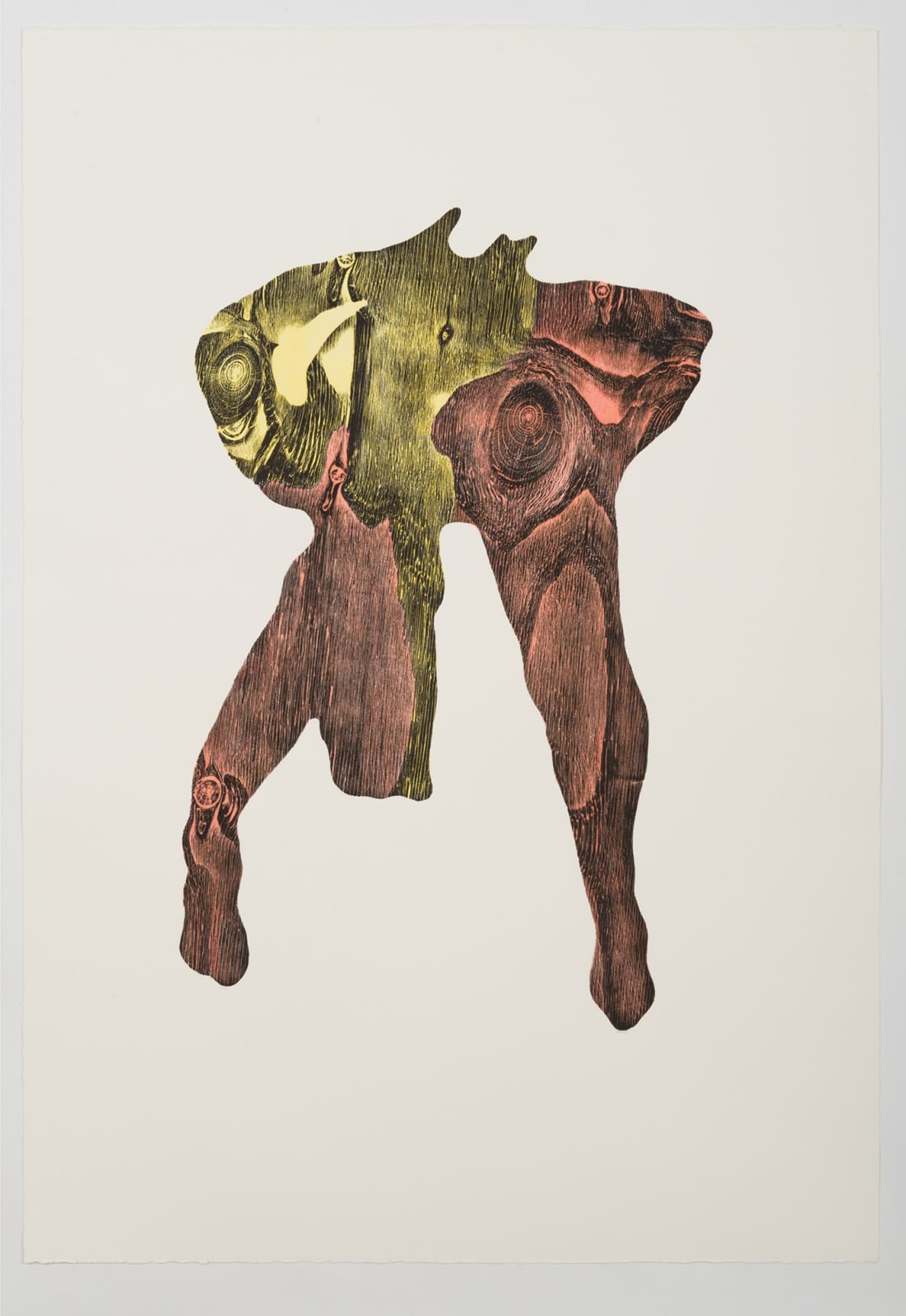 Alice Maher, Vox Hybrida, 2018